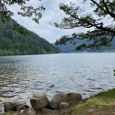 Charmant Chalet, Spacieux, Proche Du Lac, Vue Sur La Montagne Gérardmer Buitenkant foto