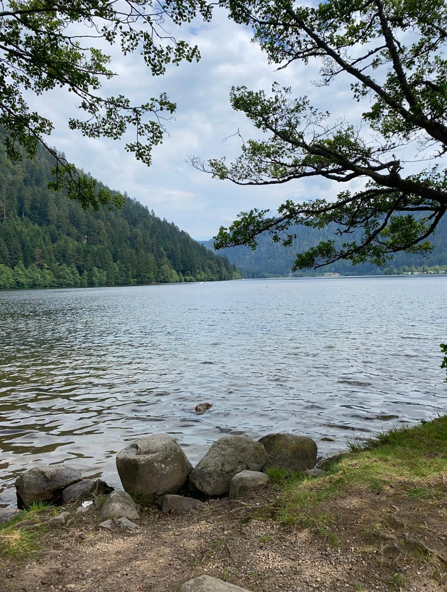 Charmant Chalet, Spacieux, Proche Du Lac, Vue Sur La Montagne Gérardmer Buitenkant foto